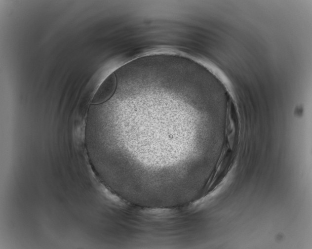 X0000101170953200807111049