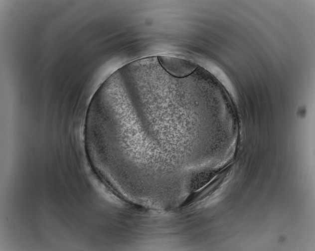 X0000101170954200807111049