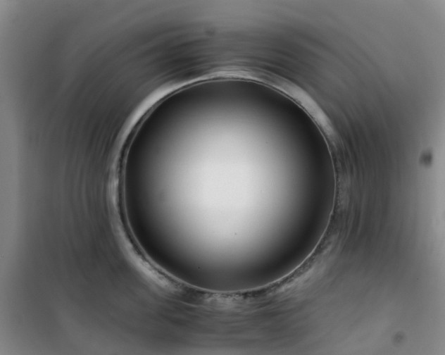 X0000101170955200807111049