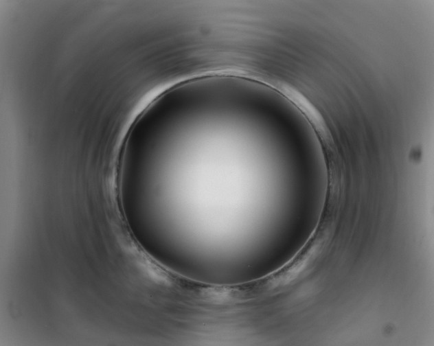 X0000101170956200807111049