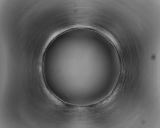 X0000101170958200807111049