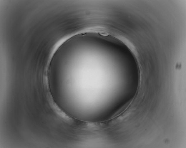 X0000101170960200807111049