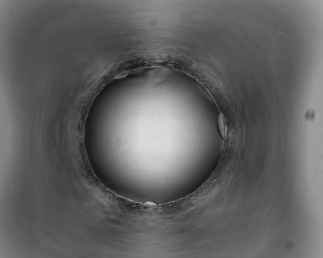 X0000101170961200807111048