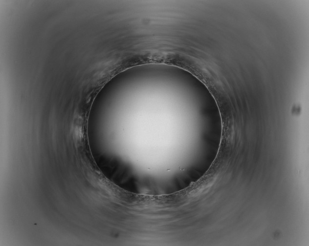 X0000101170962200807111048