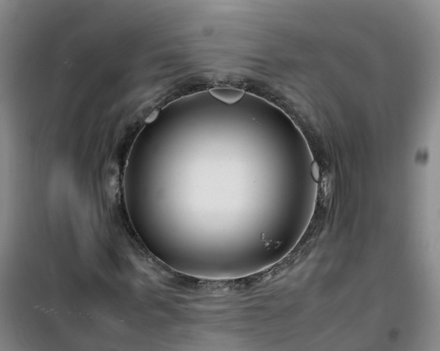 X0000101170963200807111048