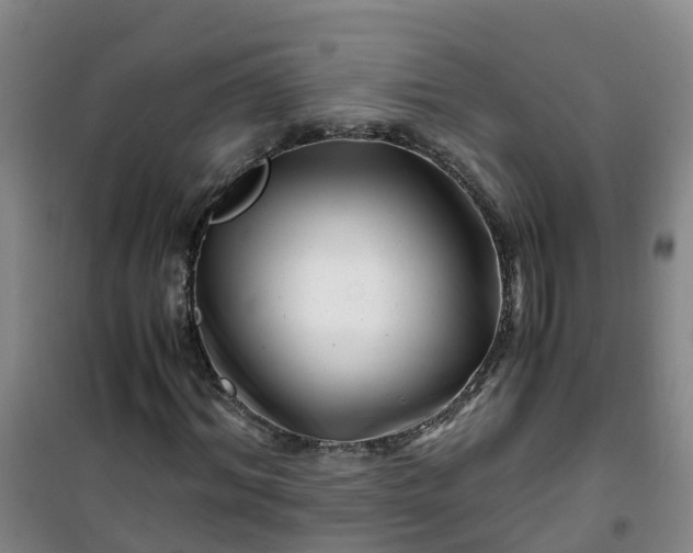X0000101170964200807111048