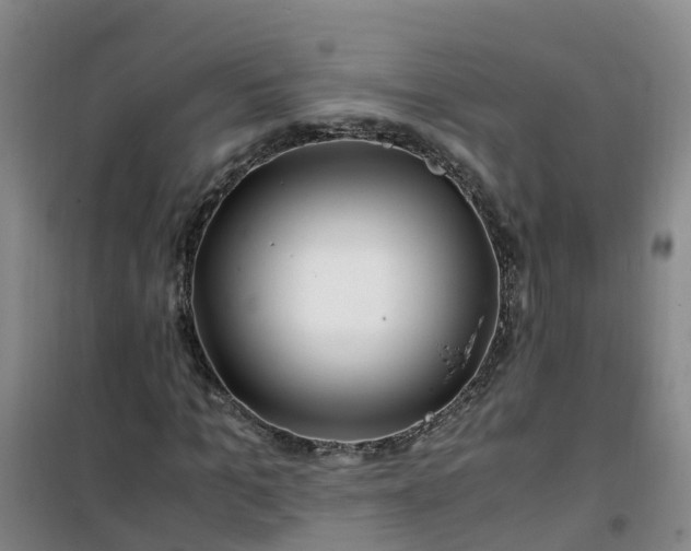 X0000101170965200807111048