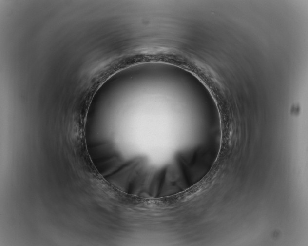 X0000101170966200807111048