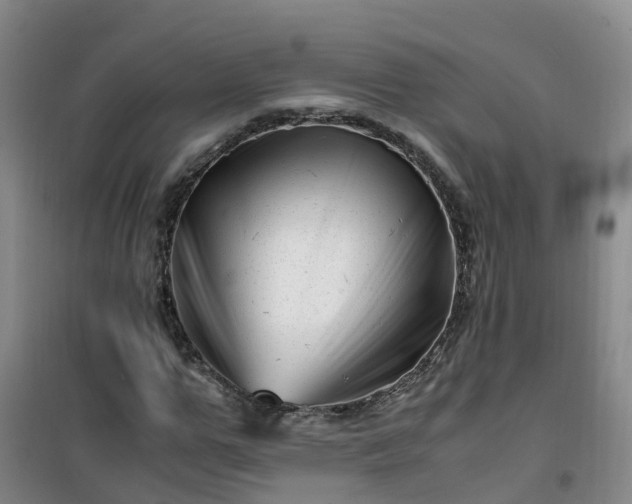 X0000101170967200807111048