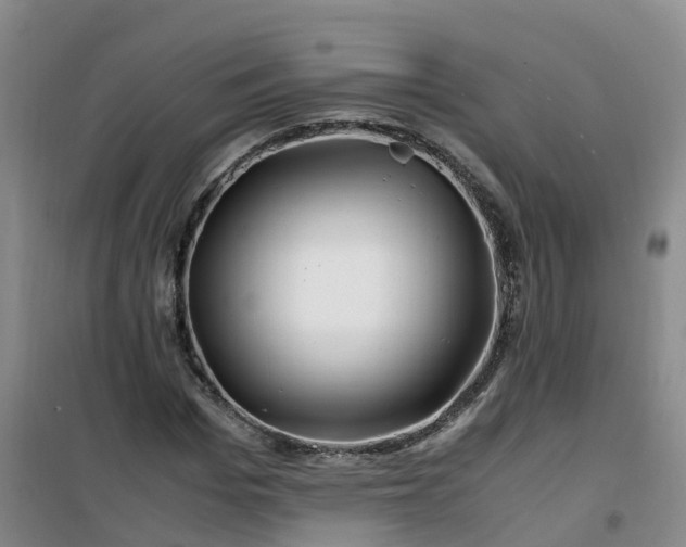 X0000101170969200807111048