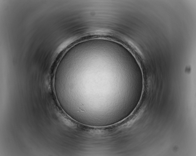 X0000101170970200807111048