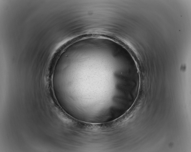 X0000101170971200807111048