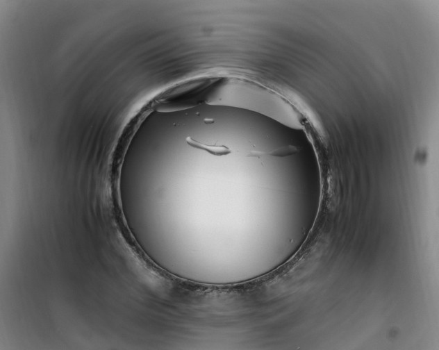 X0000101170972200807111048