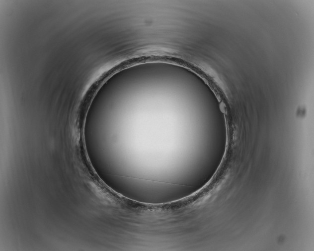 X0000101170973200807111048