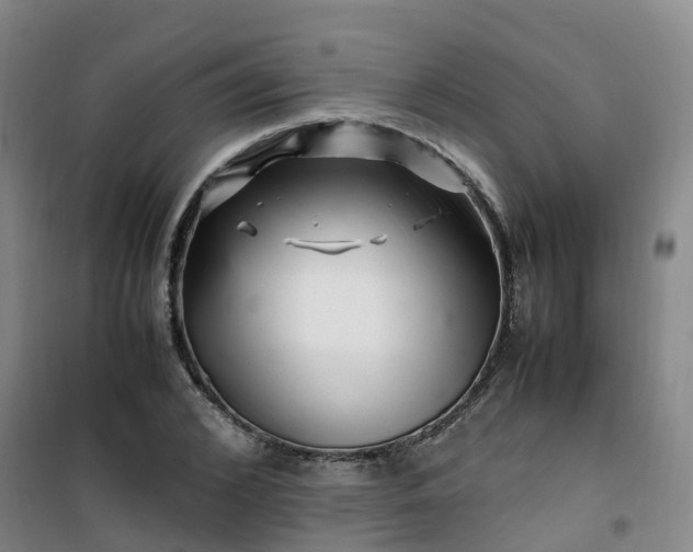 X0000101170976200807111048
