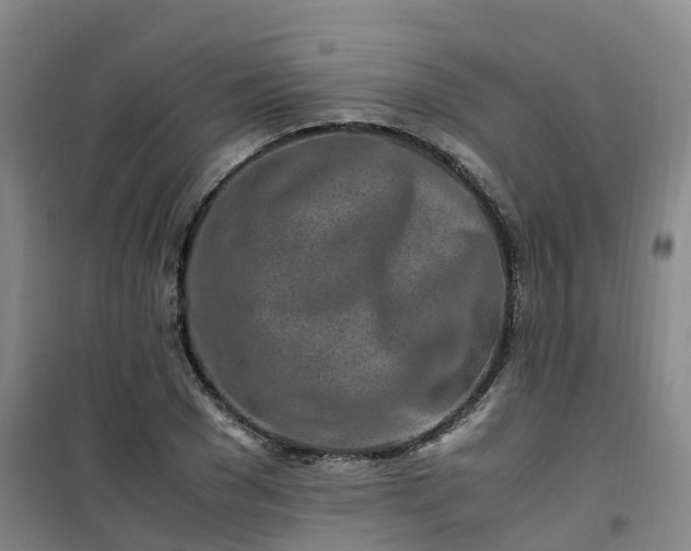 X0000101170977200807111048