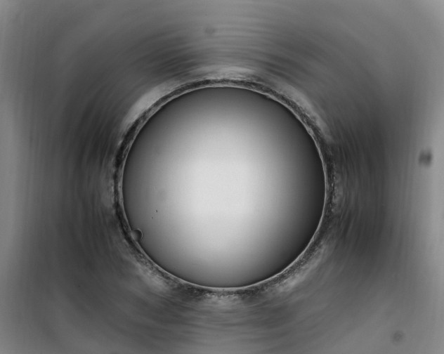 X0000101170978200807111048