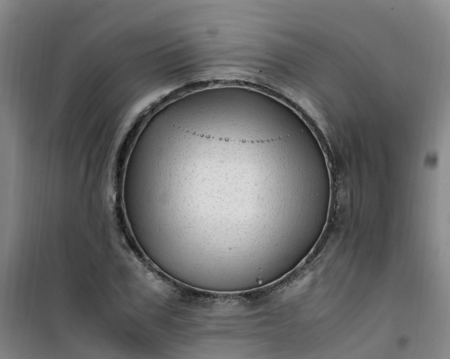 X0000101170979200807111048