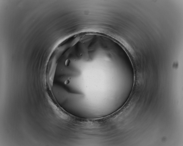 X0000101170980200807111048