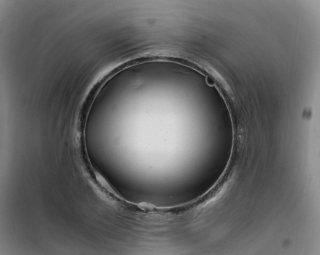 X0000101170981200807111048