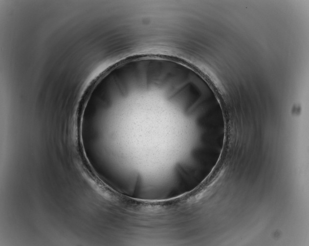 X0000101170982200807111048