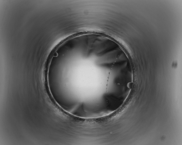 X0000101170983200807111048