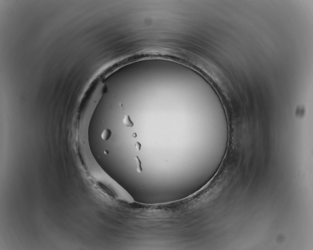 X0000101170984200807111048