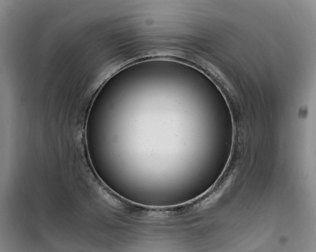 X0000101170985200807111048