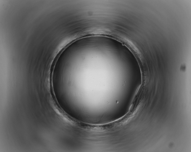 X0000101170986200807111048