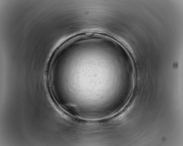 X0000101170989200807111048