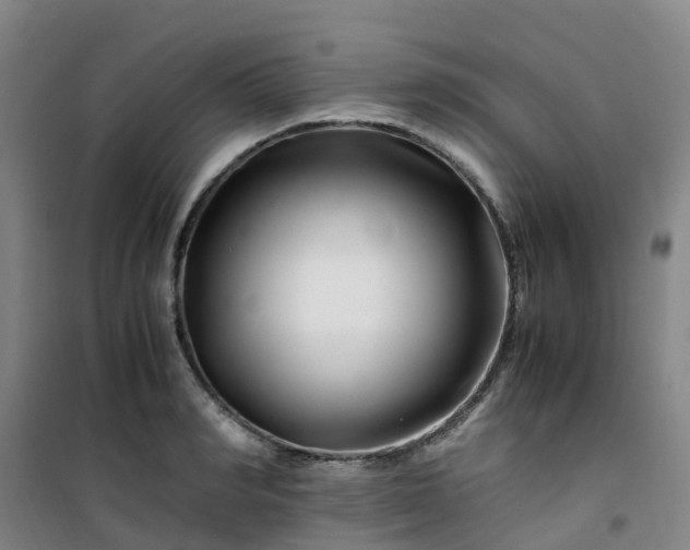 X0000101170990200807111048