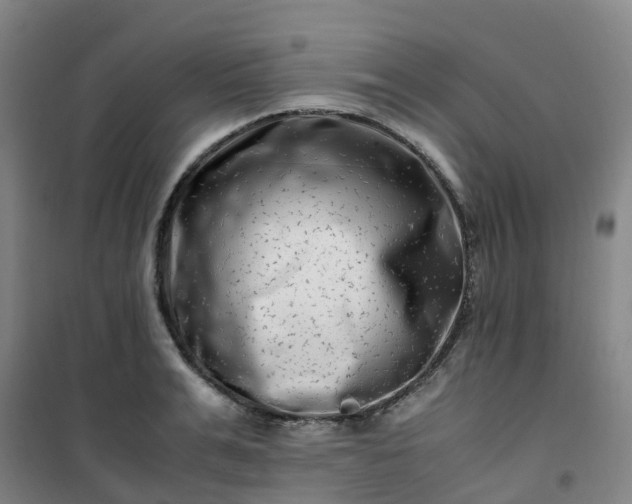 X0000101170991200807111048