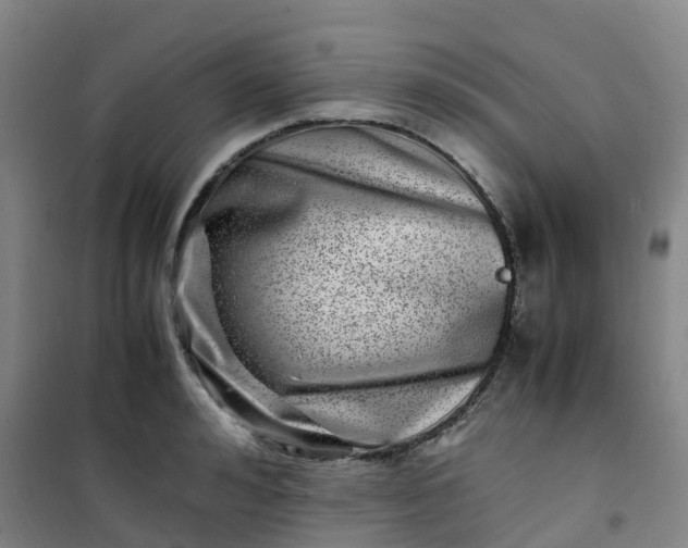X0000101170992200807111048