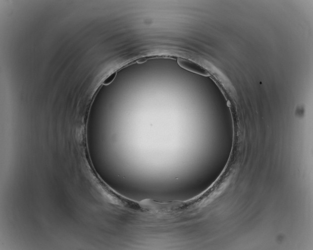 X0000101170993200807111048