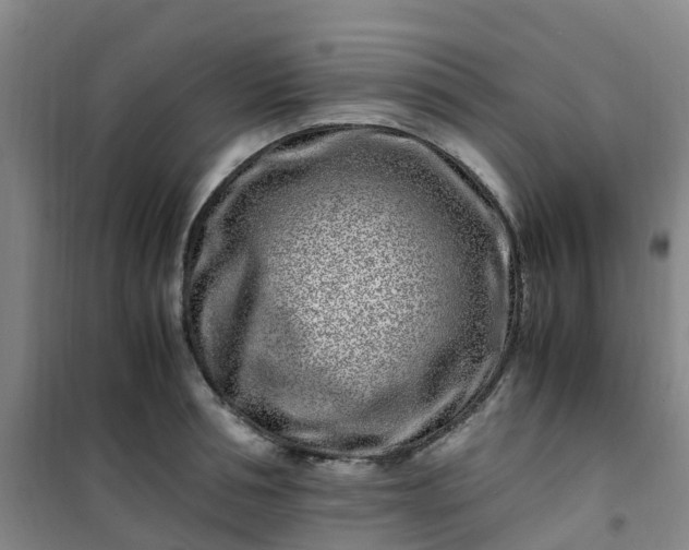 X0000101170994200807111048