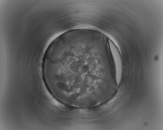 X0000101170995200807111048