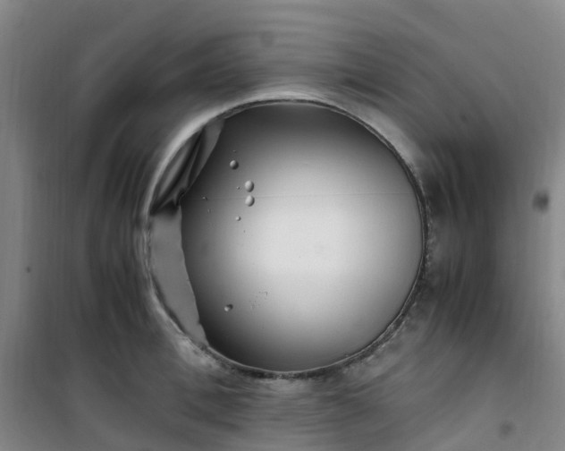 X0000101170996200807111048