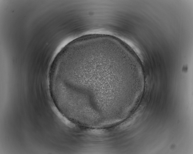 X0000101170998200807111048