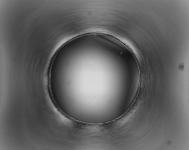 X0000101170999200807111048