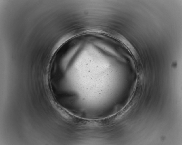 X0000101171002200807111048