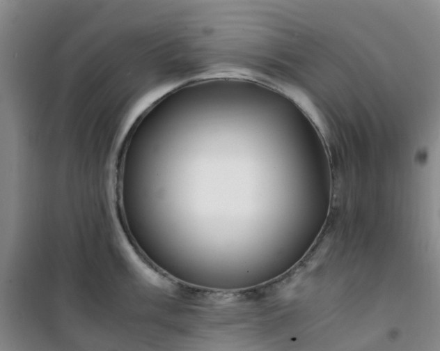 X0000101171003200807111048