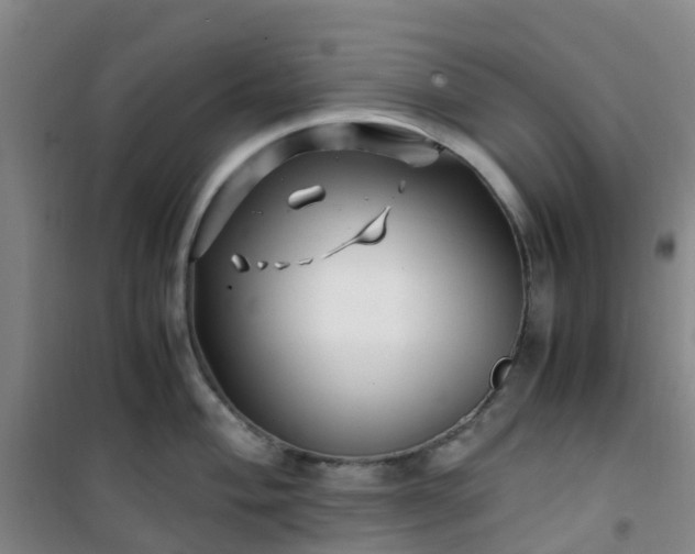 X0000101171004200807111048
