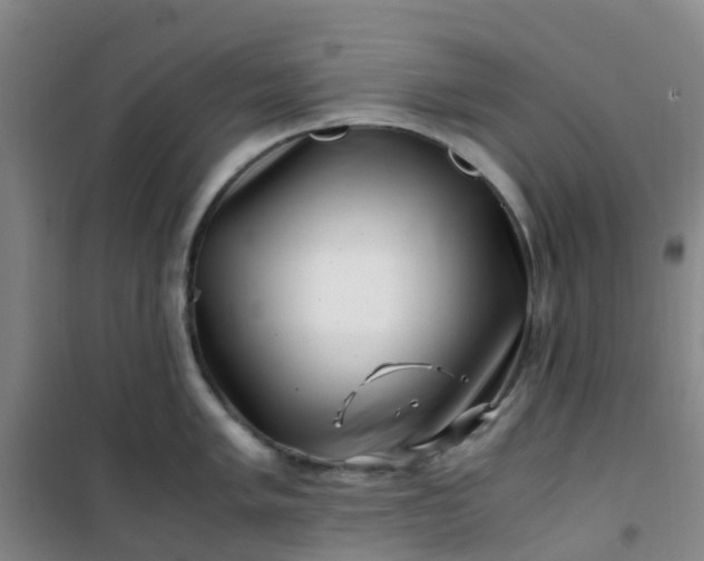 X0000101171005200807111048