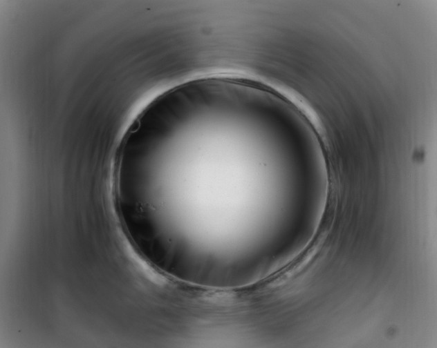 X0000101171006200807111048