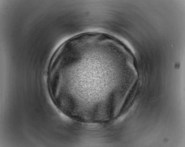 X0000101171007200807111048