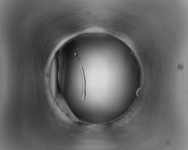 X0000101171008200807111048