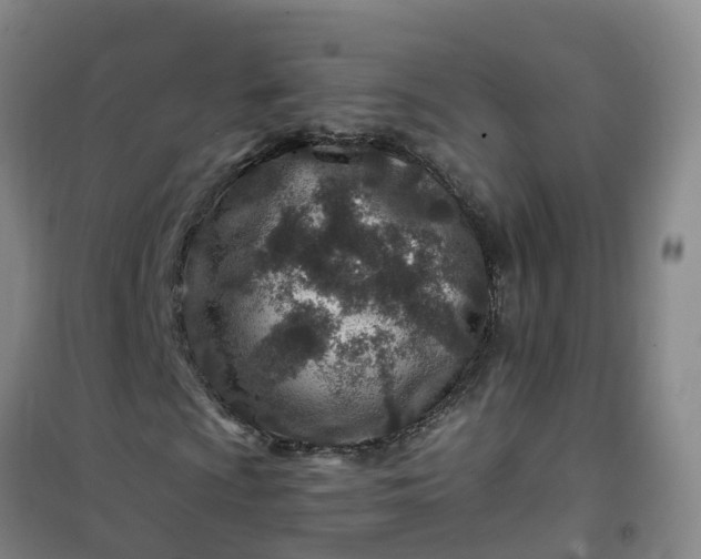 X0000101171009200807111047