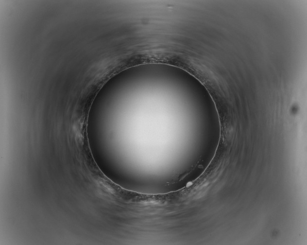 X0000101171010200807111047