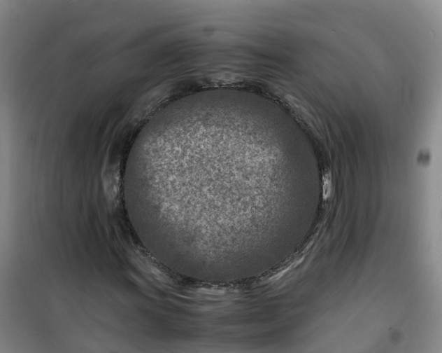 X0000101171011200807111047