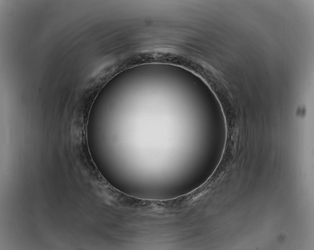 X0000101171014200807111047